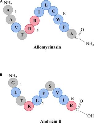 Evaluation of Short-Chain Antimicrobial Peptides With Combined Antimicrobial and Anti-inflammatory Bioactivities for the Treatment of Zoonotic Skin Pathogens From Canines